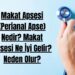 Makat Apsesi (Perianal Apse) Nedir Makat Apsesi Ne İyi Gelir Neden Olur