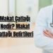 Makat Çatlağı Nedir Makat Çatlağı Belirtileri