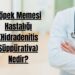 Köpek Memesi Hastalığı (Hidradenitis Süppürativa) Nedir?